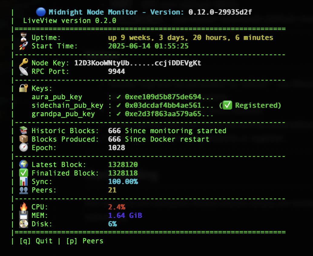 Midnight node live monitoring interface and validator statistics